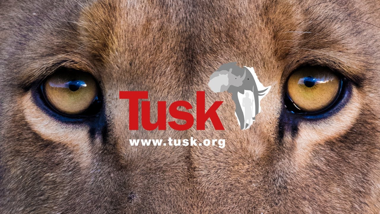 Introduction to Tusk 2024
