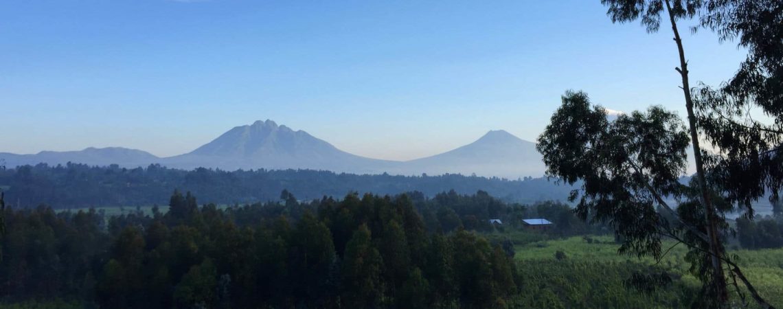 East-African Breakfast Tea