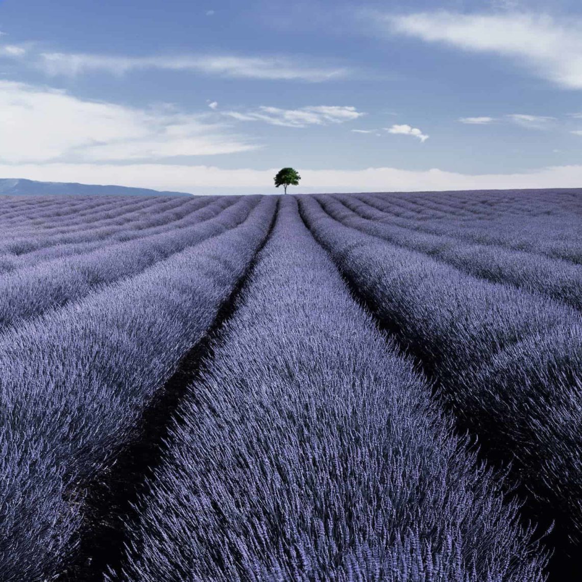 Valensole II France min