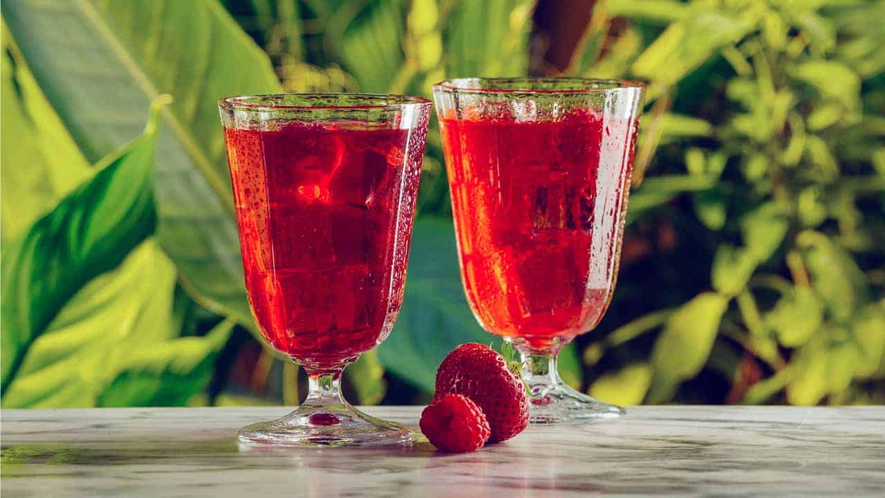 Birchall Red Berry & Flower Iced Tea