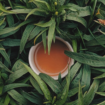 Plant-Based Tea Bags & Sustainabili-TEA