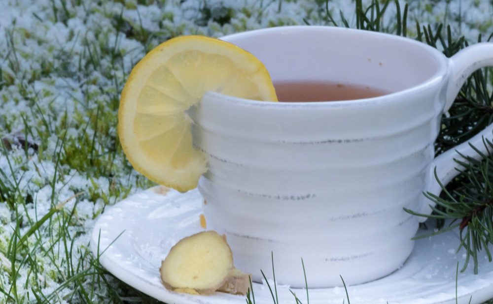Birchall Ginger & Lemongrass Tea The Perfect Blend