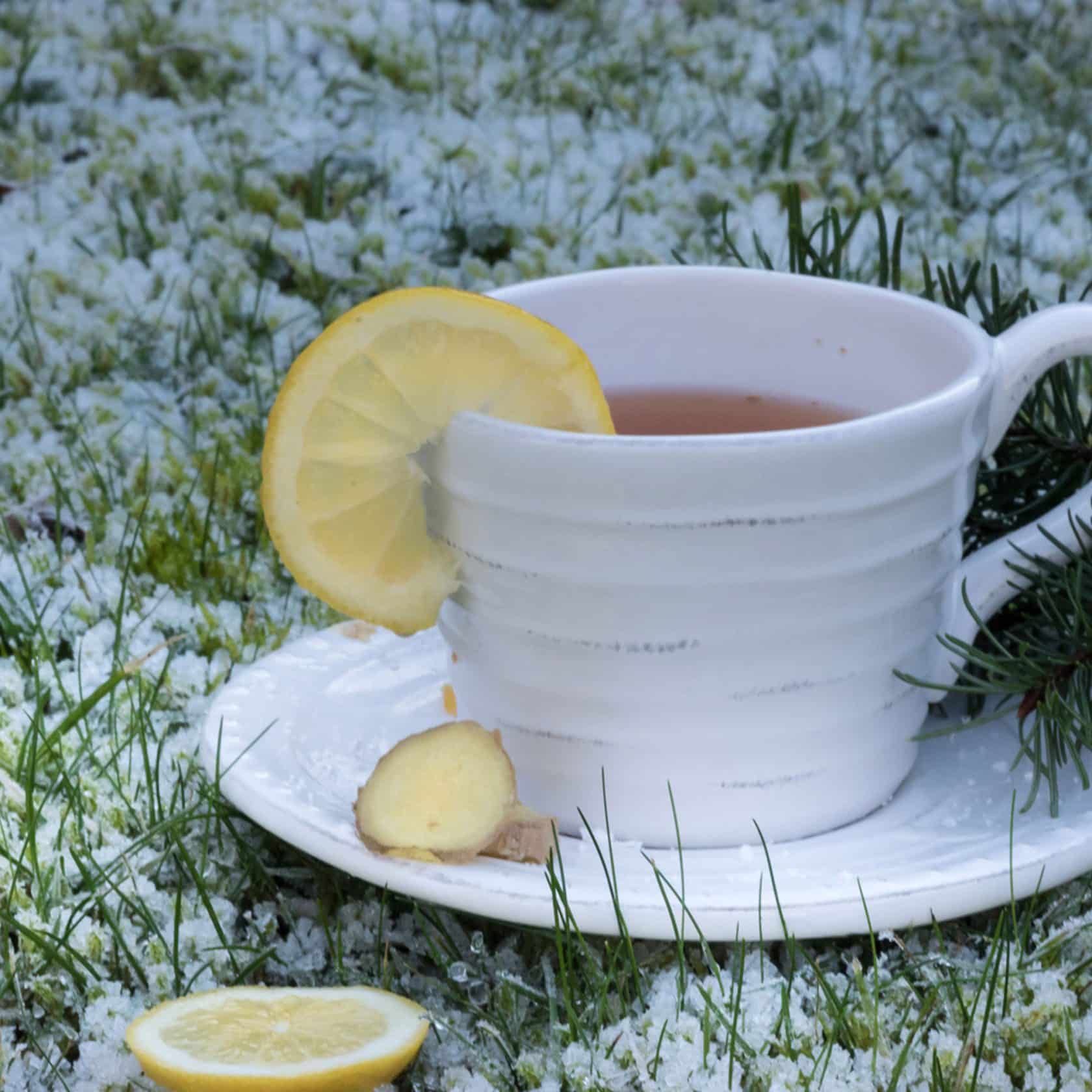 Birchall Ginger & Lemongrass Tea The Perfect Blend