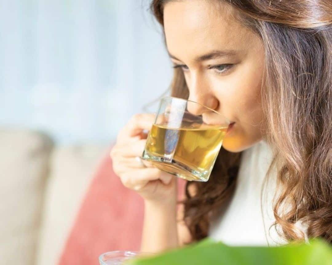 Birchall Tea Green Tea Selection Best Green Tea Companies