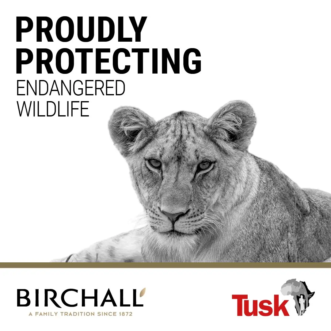 Tusk charity partnership with Birchall protecting endangered wildlife in Africa